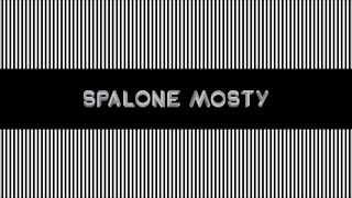 Sokół i Marysia Starosta - Spalone mosty (audio)