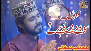 New Heart Touching Naat 2022 | Tu Jhuk Sohny Dy Boohay Ty | Muhammad tayyab mustafai