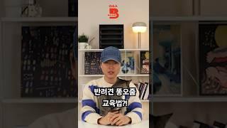 배변교육 꿀팁! #강아지 #반려견 #강아지훈련 #반려견 #반려동물  #pets