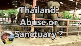 Thailand: Sanctuaries or Abuse? Elephant-Camps in comparison!