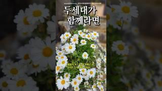 736.두세대가 함께라면/ 식구가많은분들추천/안채와 별채가 분리된 집 대가족 추천 /포천전원주택/고모리저수지인근전원주택