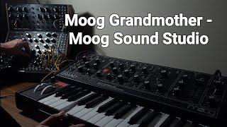 Moog Grandmother & Moog sound studio ambient