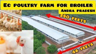 EC POULTRY : BROILER