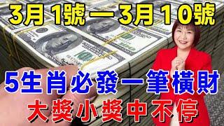 發大財了！3月1號到10號！土地公庇佑，這5大生肖必發一筆橫財，大獎小獎中不停，正財偏財不斷，備好麻袋裝鈔票！|吉祥如意 #一禪語 #運勢 #風水 #佛教 #生肖 #花好月圓