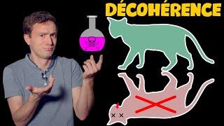 Chats de Schrödinger & Décohérence quantique