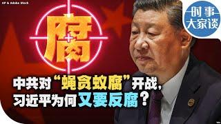 时事大家谈：中共对“蝇贪蚁腐”开战，习近平为何又要反腐？