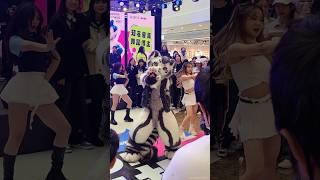 【Fursuit Dance】 银碳Gintan - STAYC 'BUBBLE'