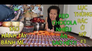 #3-LỤC THÙNG RÁC Ở MỸ | KẸO CHOCOLATE LƯỢM HOÀI KHÔNG HẾT- DUMPSTER DIVING IN AMERICA