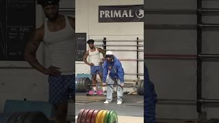 ANATOLY Use FAKE WEIGHTS in GYM PRANK #anatoly #fitness #gym