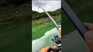 Hành trình câu cá sông núi và cái kết bất ngờ - L.T FISHING OFFICIAL