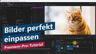 Clips und Bilder in Frame einpassen und zentrieren mit Auto Reframe – Premiere-Pro-Tutorial