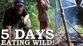 5 DAYS eating ONLY WILD FOODS! | Survival Challenge | The Wilderness Living Challenge 2017 SEASON 2