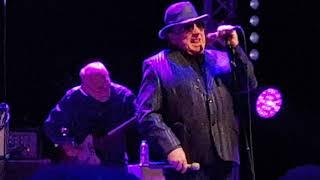 The Pretty Things & Van Morrison -  Baby Please Don't Go -  Indigo Dec 13 2018