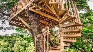 One Man Build a Hidden Tree House in the Middle of the Forest!