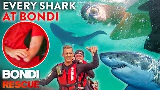 EVERY Shark Sighting at Bondi Beach - Caught on Camera!