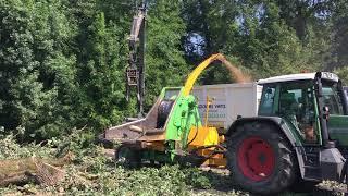 Travaux d'élagage en Périgord après les intempéries