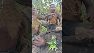 first time chaabaa trying to eat pineapple  in the wild #africa #reels #wildlife #trending #shorts