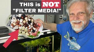 Aquarium Filter *MEDIA MISCONCEPTIONS*  [and a Lot More in Today's Cichlids & Coffee Live Stream!]