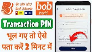 BOB World Transaction PIN Kaise Pata Kare 2024 | How to Forgot/Reset Transaction PIN in BOB World