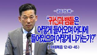 [금요기도회] 귀신과 뱀들은 어떻게 들어오며 어디에 들어있으며 어떻게 나가는가?(마12:43~45)_동탄명성교회 정보배목사