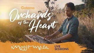 Gotama – Orchards of the Heart