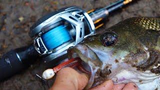 Skinny Water Fishing For Australian Native Fish!