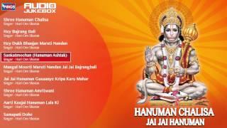 Hanuman Chalisa By Hari Om Sharan | Hindi Devotional Songs | Hanuman Bhajans Jukebox