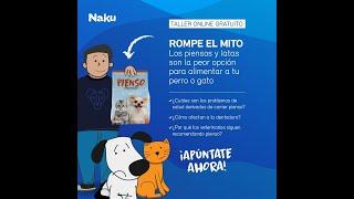 Taller online "ROMPE EL MITO. Los piensos y latas son la peor opción para tu perro o gato".