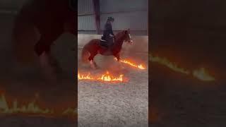 Not my video  #horseriding #equestrian #horse #wait #horsefarms #dream #subscribe #unfassbar