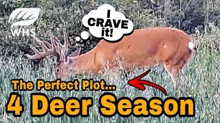 Best Deer Hunting Food Plot