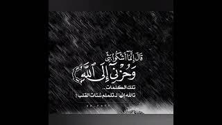 اقوال شعبيه حكمة اليوم | حكم / عبارات مفيده #shorts #اقتباسات #حكايات  #hukm #حالات #قصص #معلومات