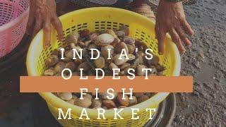 India's oldest fish market in Mumbai