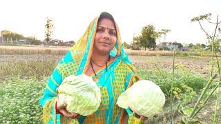 I like this cabbage recipe very much. I make it again and again as long as I am in the fields. # ...