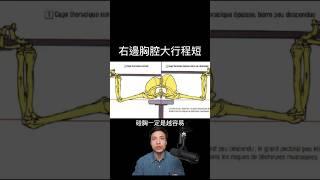 槓鈴握推要碰胸嗎？ #胸肌