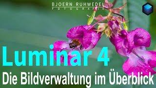 Luminar 4 - Die Bildverwaltung im Überblick