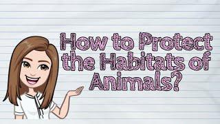 (SCIENCE) How to Protect the Habitats of Animals? | #iQuestionPH