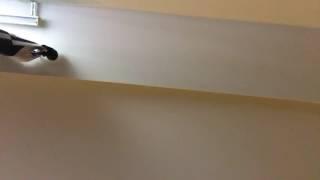 Chadd Callahan Live Stream
