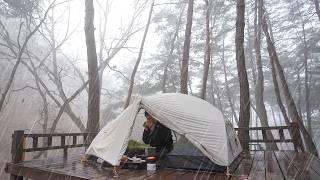 [224] Fall for the charm of of backpacking camping. | Solo camping on a rainy day