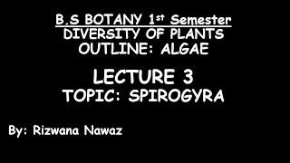 Spirogyra by Rizwana Nawaz