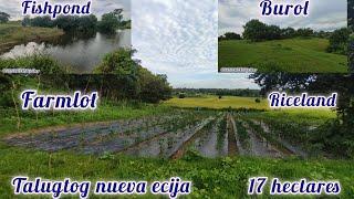 lot#380 napakagandang farmlot 17 hectares 100/sqm only talugtog nueva ecija