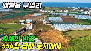 제주도 토지매매, 애월읍 구엄리 시세보다 많이 저렴한 급매물 토지매매, 제주도부동산, 제주도 주택, 제주도 타운하우스, 독채펜션부