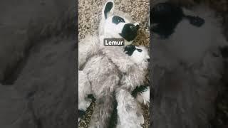 B de m