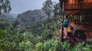 Living in a Treehouse CHIANG MAI  A Magical Thailand Escape