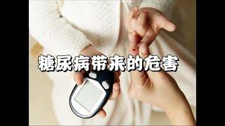 Good Life美好生活——糖尿病带来的4 个危害 the 4 dangers of diabetes