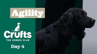 Championship – Small/Medium - Agility Final  ​Crufts 2025