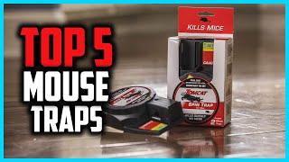 Top 5 Best Mouse Traps in 2024