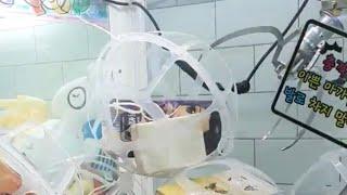 (꿀망뽑기)탑 쌓고 올려서 굴리면 여러분들도 쉽게 꿀망뽑기 인형뽑기 하실 수 있습니다 #clawmachine #인형뽑기 #ユーフォーキャッチャー #pokemon #fyp#꿀망뽑기