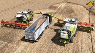 Getreideernte 2022 Weizen dreschen Claas Mähdrescher combine harvester wheat harvest Landwirtschaft