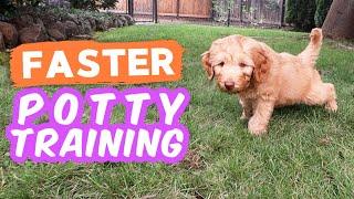 6 Potty Training Secrets NOBODY Shares  Seriously try these with your puppy!!!