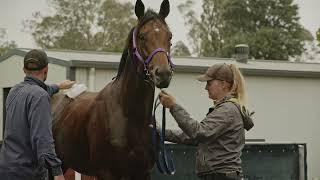 NumatAGRI Rubber Matting at Lindsay Park Racing: A Case Study